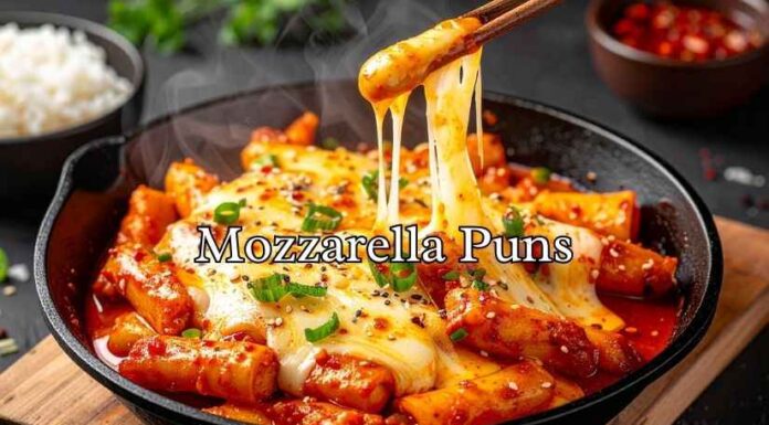 Mozzarella Puns Mozzarella Puns