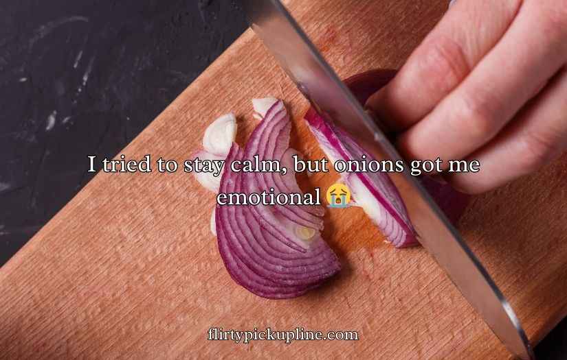 Onion Puns