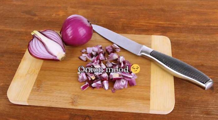 Onion Puns Onion Puns