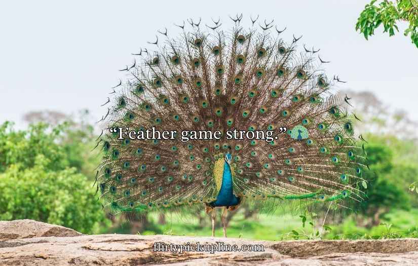 Peacock Puns