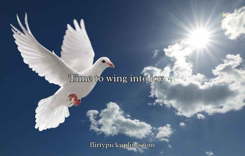 Pigeon Puns and Jokes