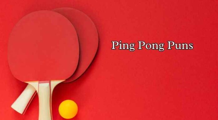 Ping Pong Puns Ping Pong Puns