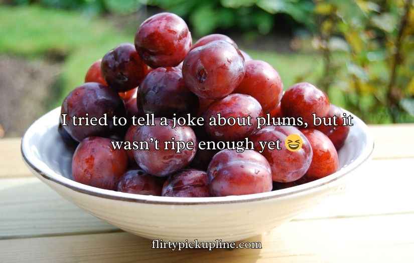 Plum Puns and Jokes