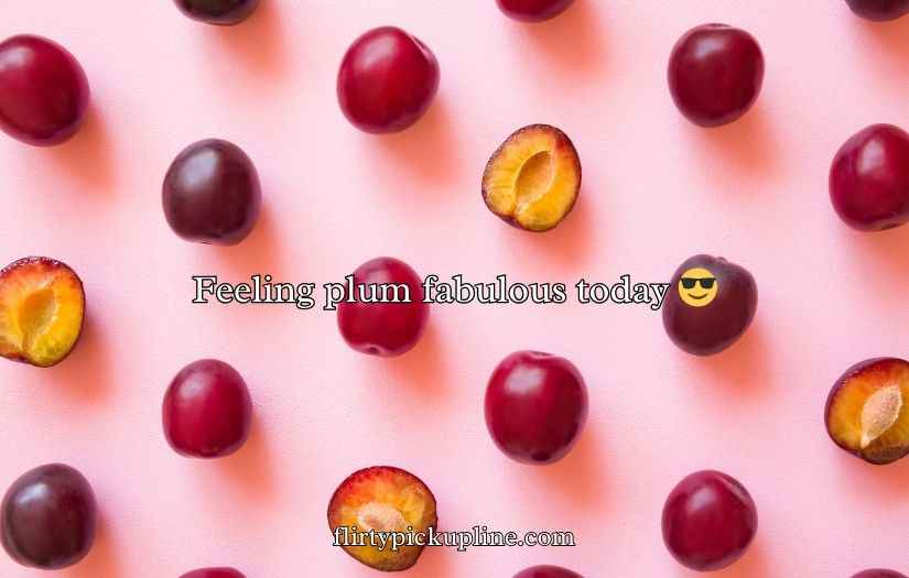 Plum Puns and Jokes