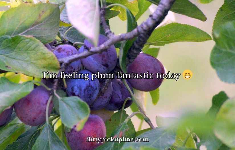 Plum Puns and Jokes