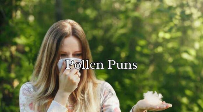 Pollen Puns Pollen Puns