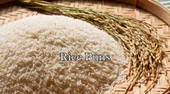 Rice Puns Rice Puns