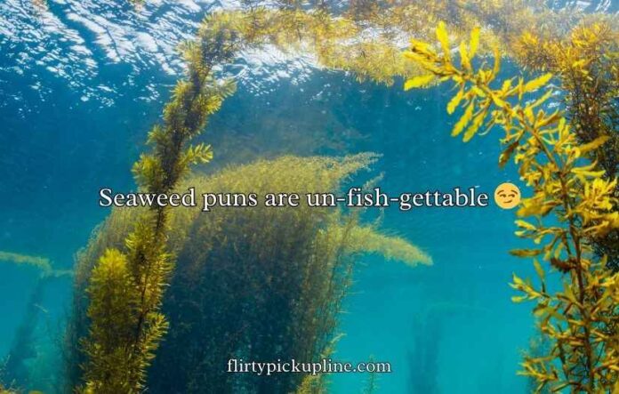 Seaweed Puns And Jokes
