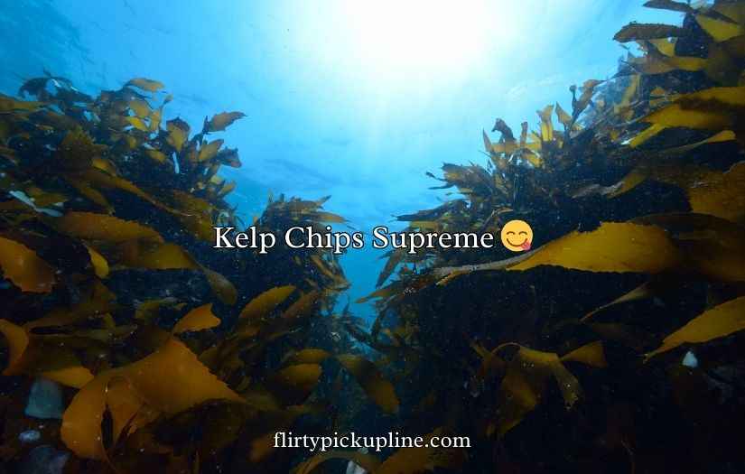 Seaweed Puns And Jokes