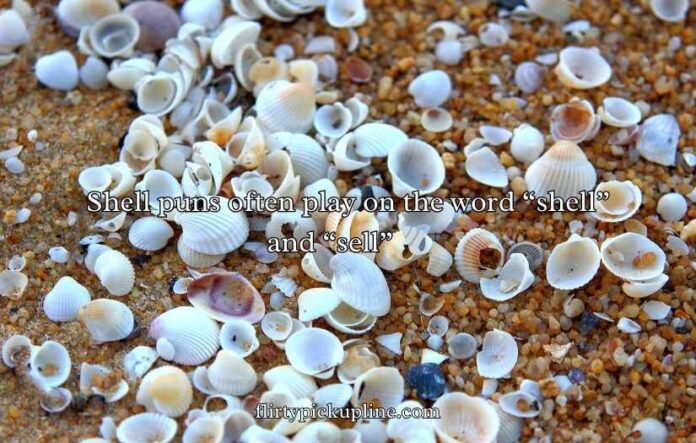 Shell Puns and Jokes