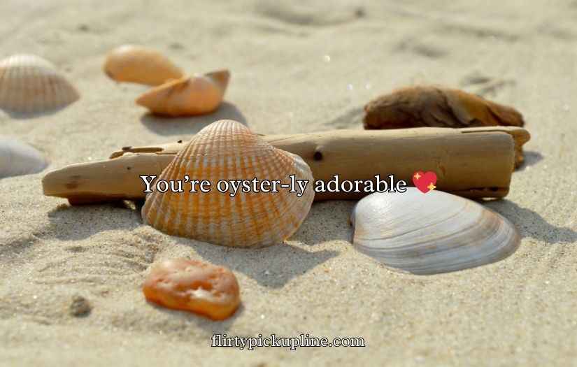 Shell Puns and Jokes