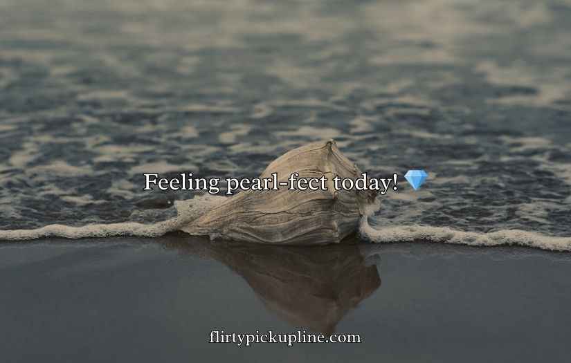 Shell Puns and Jokes