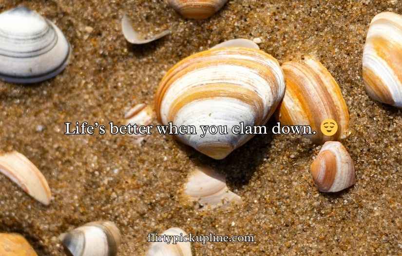 Shell Puns and Jokes