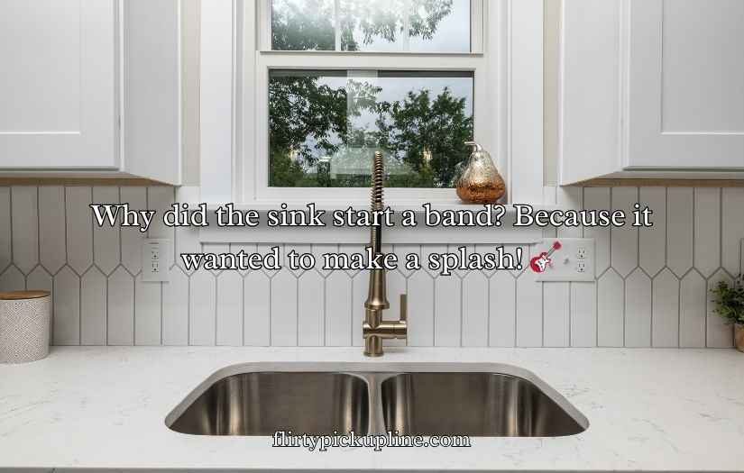 Sink Puns