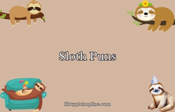 Sloth Puns