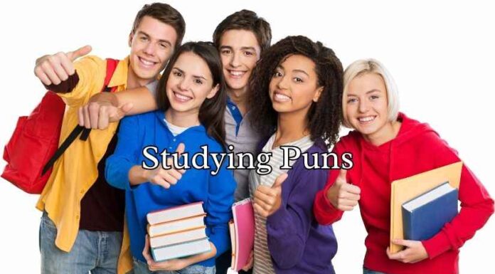 Studying Puns Studying Puns