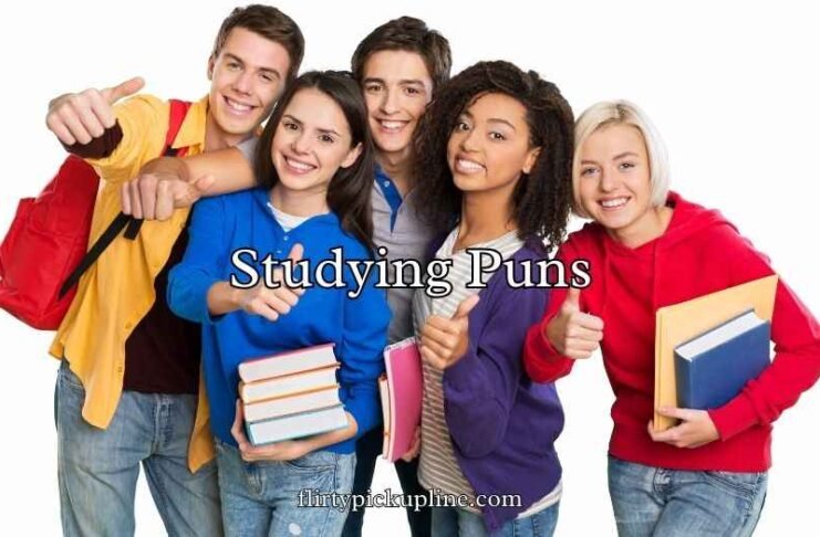 Studying Puns Studying Puns
