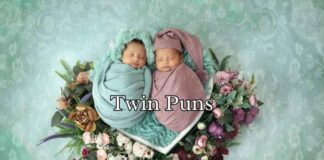 Twin Puns Twin Puns