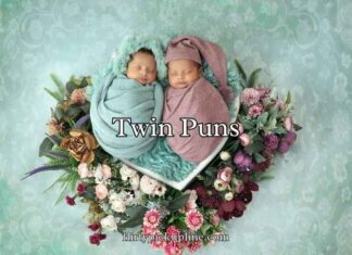 Twin Puns Twin Puns