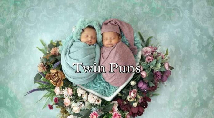 Twin Puns Twin Puns