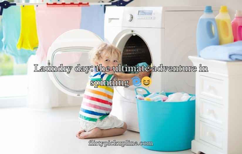 Washing Machine Puns