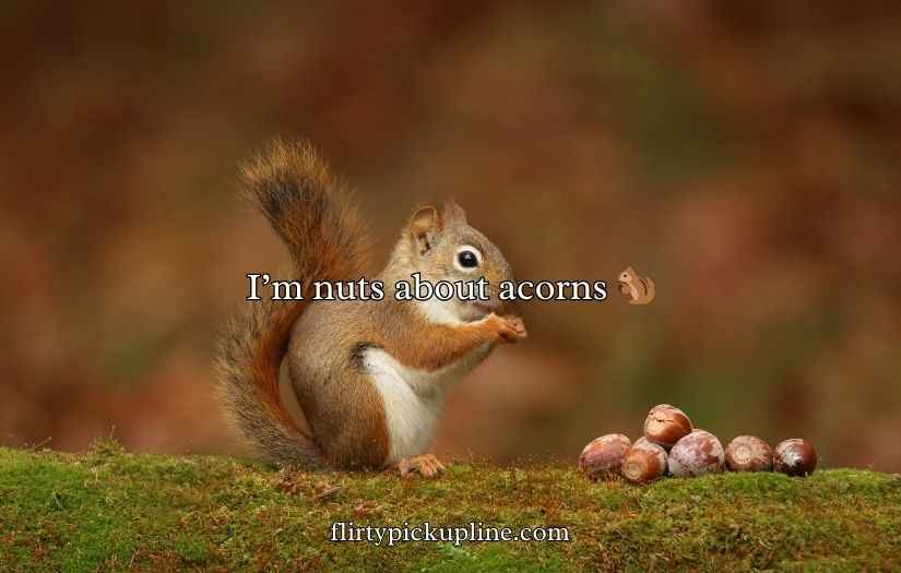 Acorn Puns