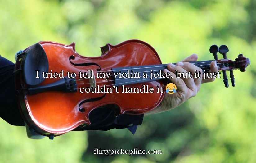 Best Violin Puns