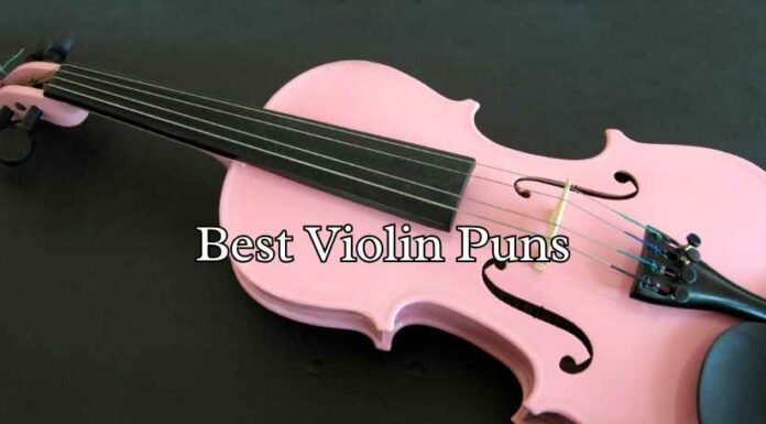Best Violin Puns Best Violin Puns