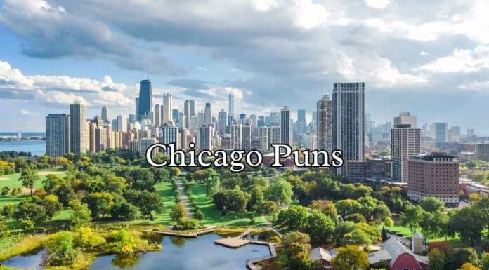 Chicago Puns Chicago Puns