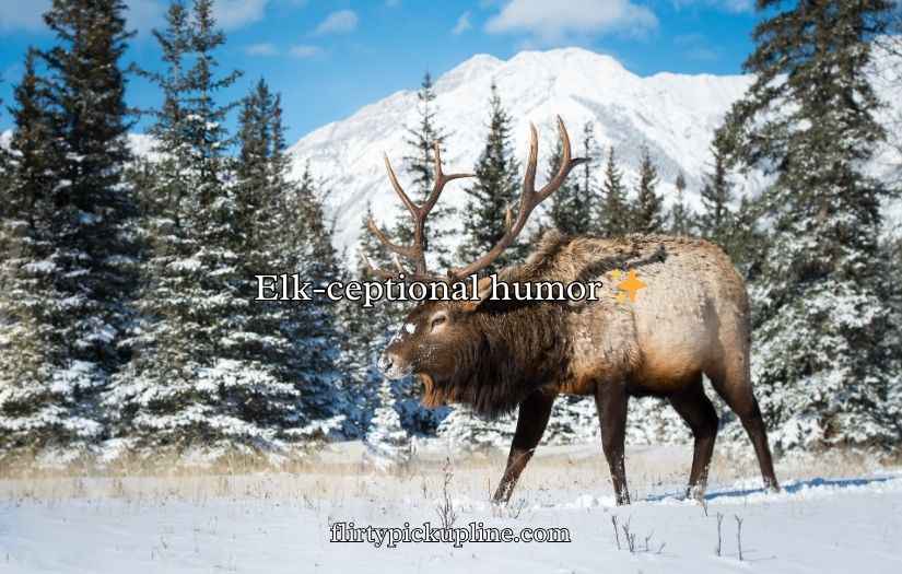 Elk Jokes Puns