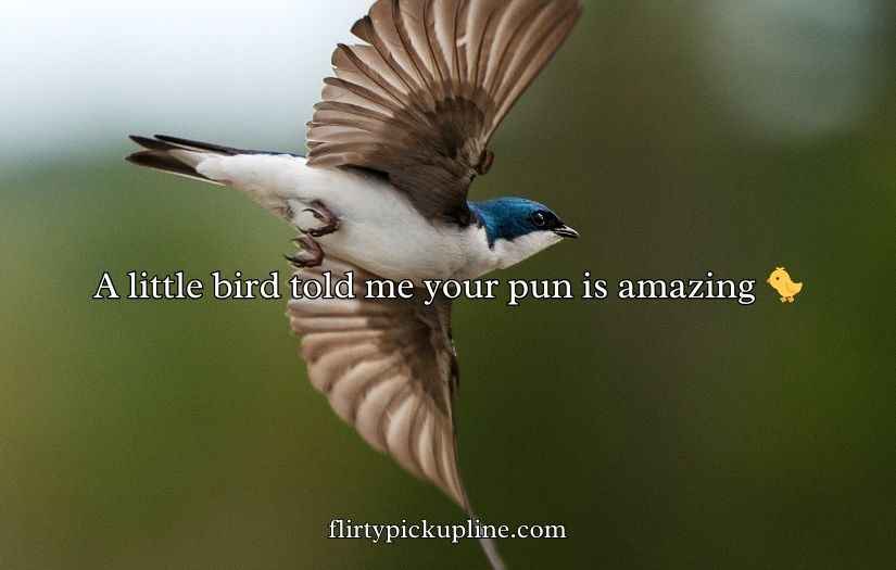 Feather Puns