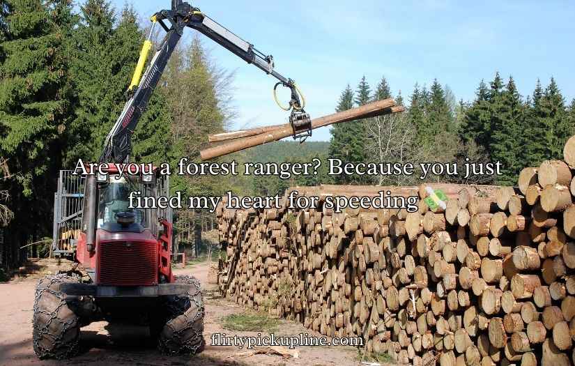 Forestry Pick Up Lines