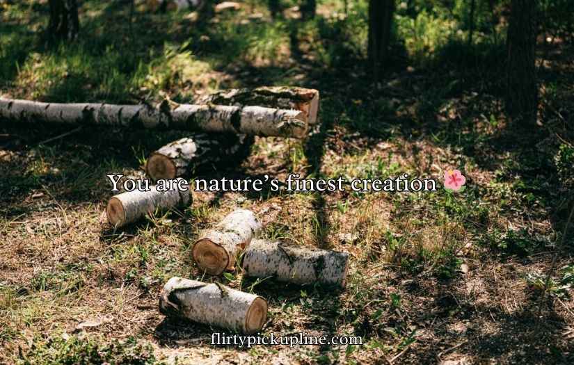 Forestry Pick Up Lines