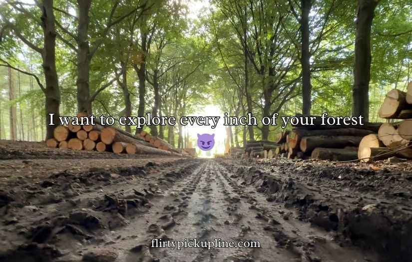 Forestry Pick Up Lines