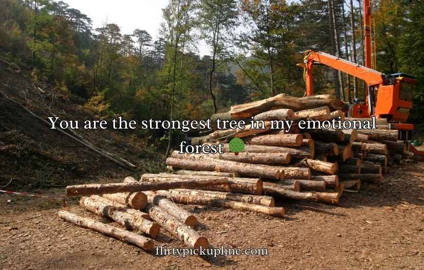 Forestry Pick Up Lines