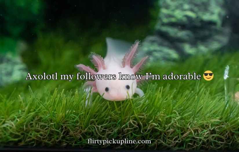 Funny Axolotl Puns