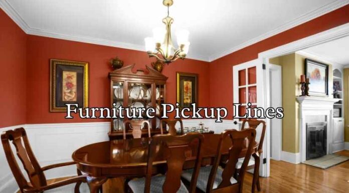 Furniture Pickup Lines Furniture Pickup Lines