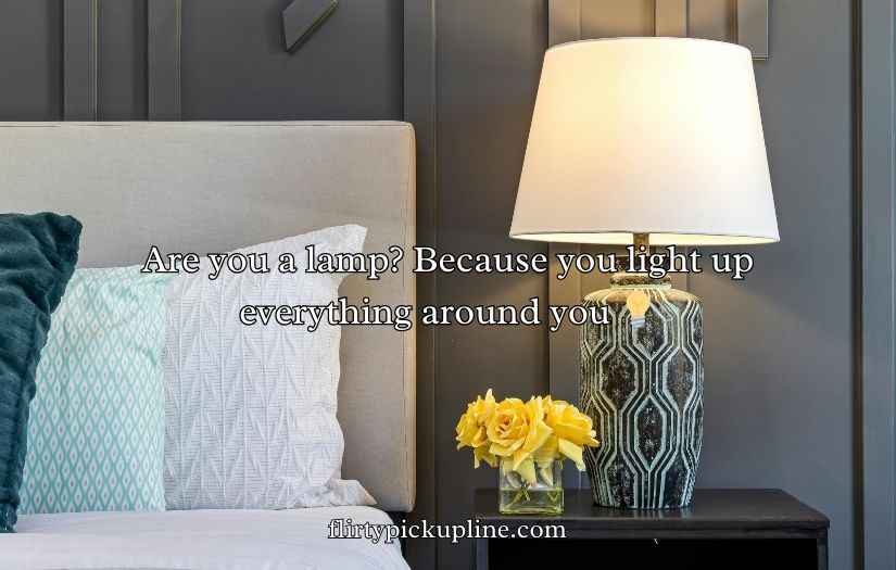 Furniture Pickup Lines