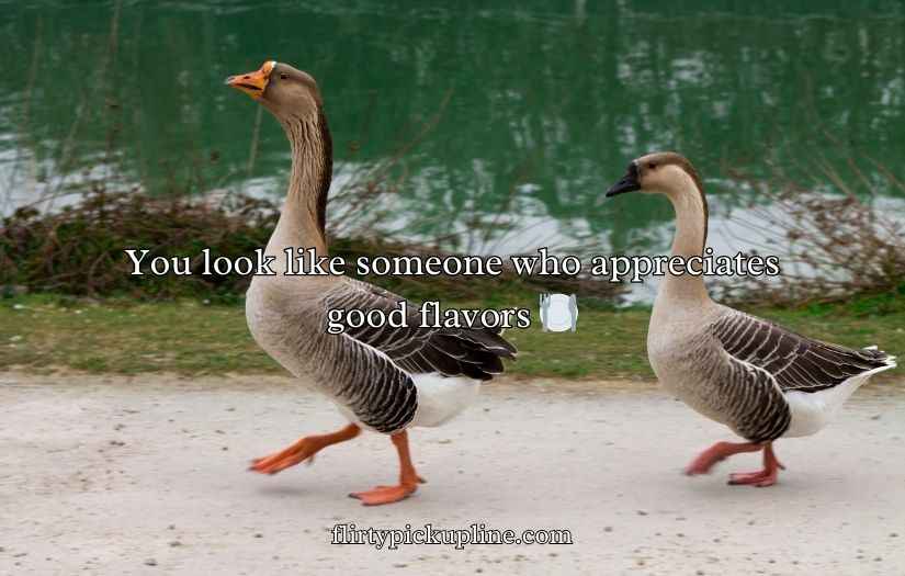 Goose Pickup Lines