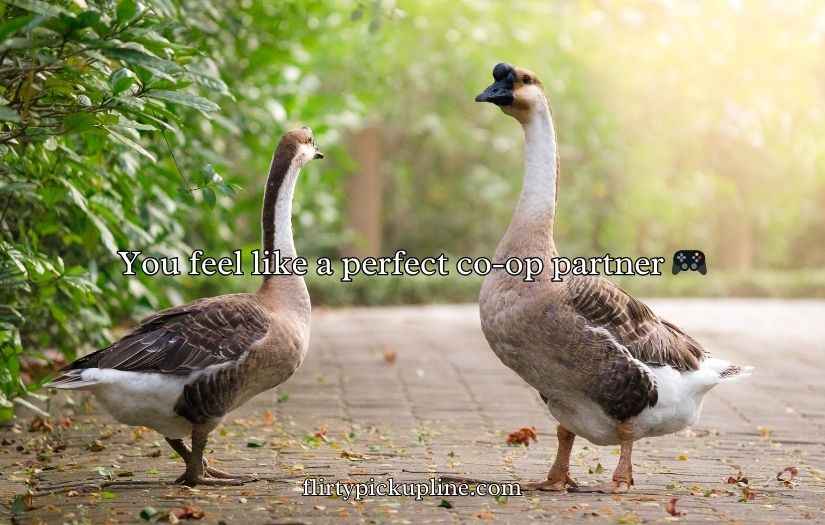 Goose Pickup Lines