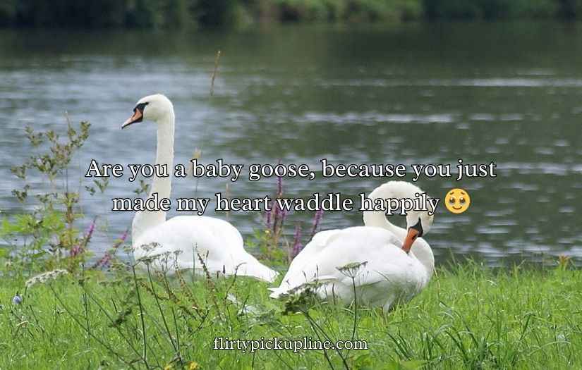 Goose Pickup Lines