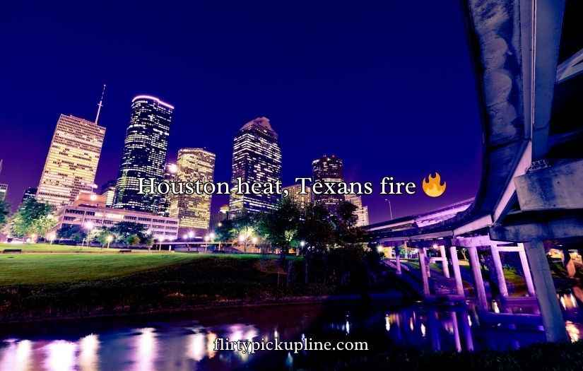 Houston Texans Puns and Jokes