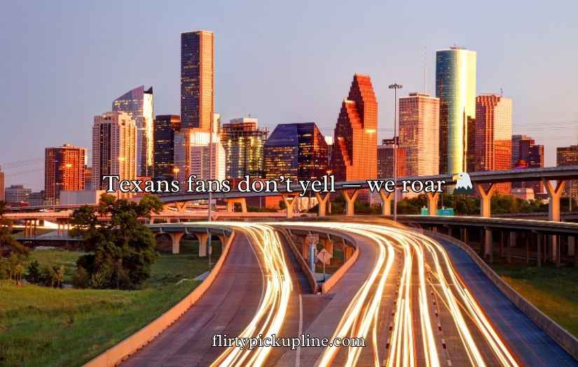 Houston Texans Puns and Jokes