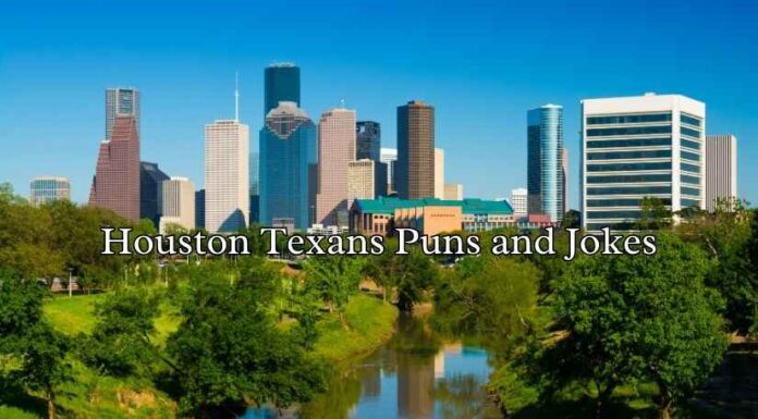 Houston Texans Puns and Jokes Houston Texans Puns and Jokes