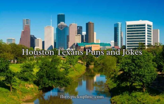 Houston Texans Puns and Jokes Houston Texans Puns and Jokes