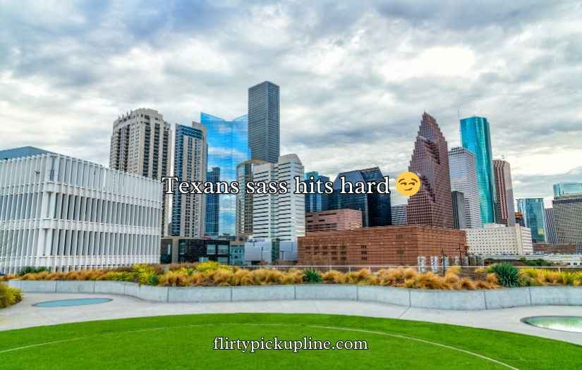 Houston Texans Puns and Jokes