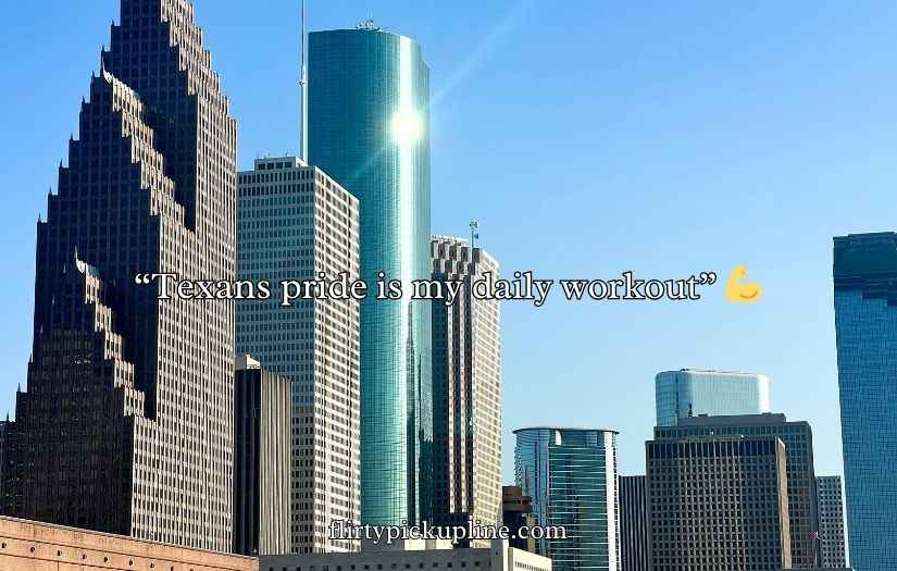 Houston Texans Puns and Jokes