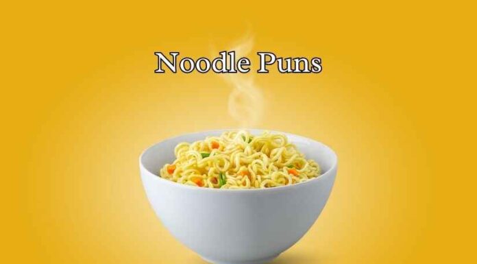Noodle Puns Noodle Puns