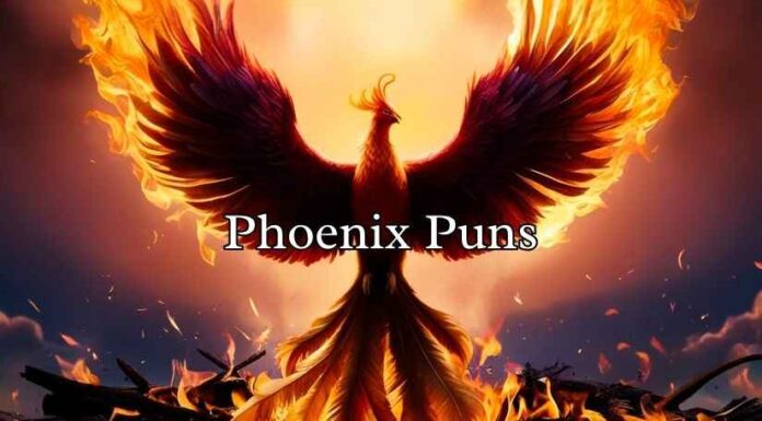 Phoenix Puns Phoenix Puns