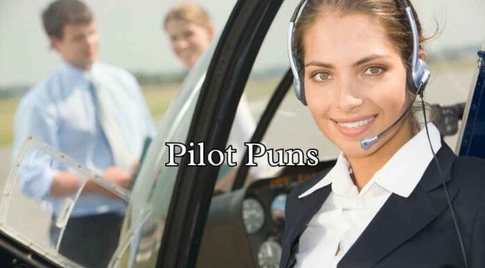 Pilot Puns Pilot Puns
